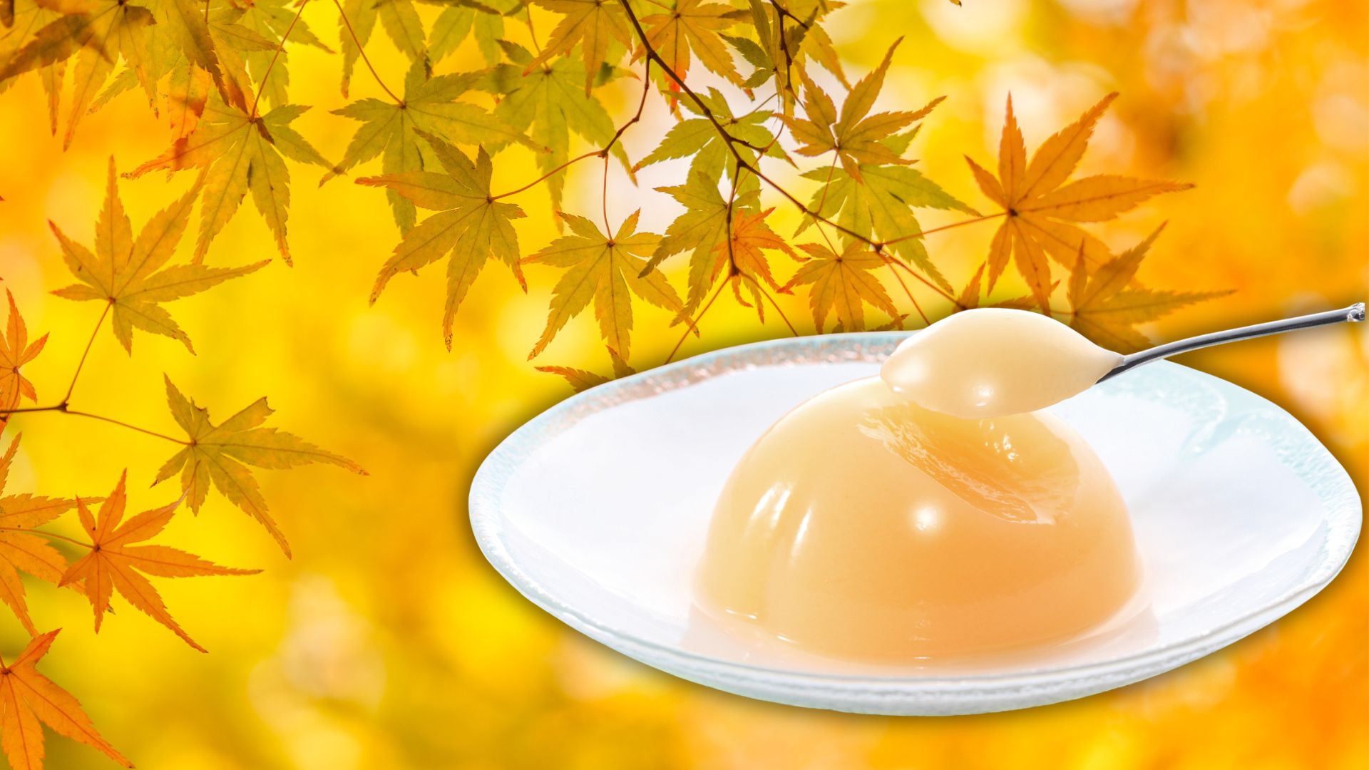 J.sweets - Delectable Japanese Sweets – J_sweets_USA