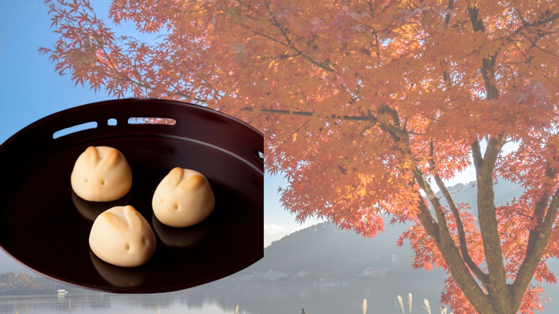 J.sweets - Delectable Japanese Sweets – J_sweets_USA
