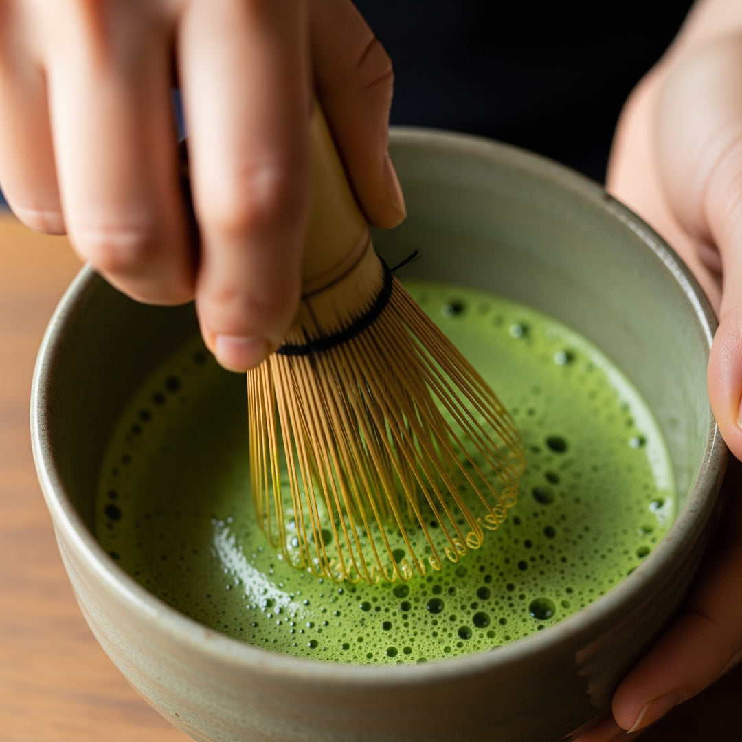 Chasen    COMING SOON!